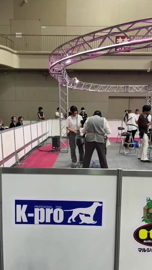 Instagram 投稿 18320219074156799
