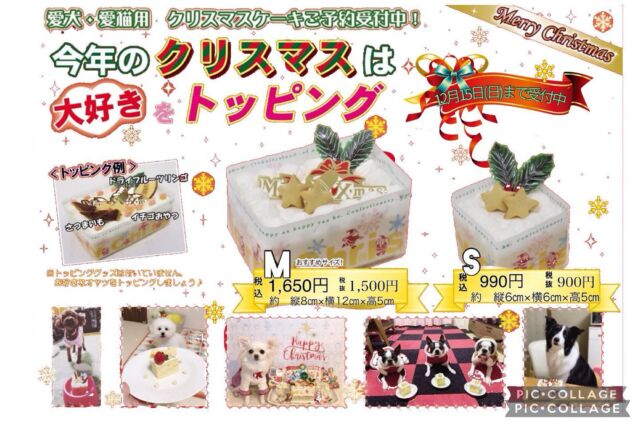 ⛄️
2024年のクリスマスケーキの予約がスタートしました🎂🎄

Sサイズ🎂　税込　　990円

Mサイズ🎂　税込　1,650円

わんちゃん、ねこちゃんと一緒に食べれてクリスマスを楽しめますよ🐶🐱💞

●ご予約方法　店頭のみ（先払い制）
●お渡し日  12/24 （火）　正午から

🎅みなさまのご予約をお待ちしております🎅
・
・
・
・
・
#クリスマスケーキ #いぬすたぐらむ #いぬ #ねこ #ねこすたぐらむ #犬クリスマス #猫クリスマス #犬ケーキ #猫ケーキ #ペッツビレッジ大垣 #ペッツビレッジ