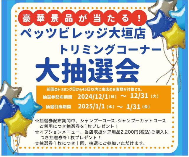 🎉
今年も12月に抽選会をやります🎁

日頃よりペッツビレッジ大垣店をご利用いただきありがとうございます😊
毎年恒例の抽選会を今年も開催します‼️

✨豪華プレゼントが当たるかも✨
1等　ペットカート(小型犬用)
2等　ユニー商品券3000円
3等　おやつ、おもちゃ、用品
その他参加賞　

ただいま準備中♪お楽しみにお待ち下さい😊

⭐︎参加チケット配布条件⭐︎
・前回のトリミング日から45日以内にシャンプーコース及びシャンプーカットをご利用につき抽選券1枚プレゼントです。
・オプションメニュー、当店取扱ケア用品2,200円（税込）ご購入につき抽選券1枚プレゼントです。

抽選会参加チケット配布期間　2024年12月1日〜12月31日
抽選会引き換え期間　　　　　2025年1月2日〜1月31日

⭐︎年末はトリミングのご予約が大変混み合いますので、お早めにご予約をお取りください！

⭐︎年内は休まず営業いたします。
⭐︎2025年1月1日は営業をお休みさせていただきます。
⭐︎年始は1月2日より営業いたします。

#トリミングサロン#アピタ大垣#ペッツビレッジ大垣店トリミング室 #アクアウォーク大垣 #大垣市