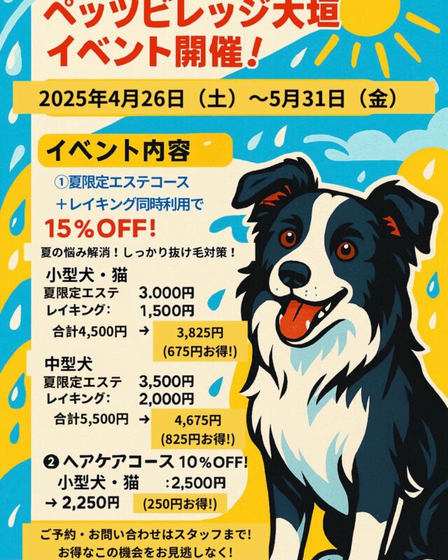 🐾 5月キャンペーン開催中！🐾

4/26(金)～5/31(金)の期間限定で、お得なキャンペーンを実施中！

① 夏限定コース＋レイキング 同時利用で15%OFF！
抜け毛＆においケアに最適なセットです♪

② ヘアケアコース 10%OFF！
被毛のツヤUP＆保湿におすすめ✨

ご予約優先となりますので、お早めにご連絡ください！

📞 ご予約・お問い合わせは
ペッツビレッジ大垣店 トリミングコーナーまで！

#ペッツビレッジ大垣店 #トリミング #5月キャンペーン #ワンちゃんネコちゃん大歓迎