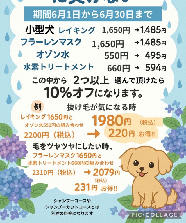 ・
🐾 6月限定キャンペーン 開催中🐾

ジメジメ季節がやってきましたね☔️
わんちゃんの皮膚トラブルや抜け毛対策、しっかりできていますか？💡

そんな今の季節にぴったり！
6月限定のお得なキャンペーンをご用意しました✨

【キャンペーン期間】
6月1日(日)〜6月30日(月)

・  レイキング(抜け毛対策)
・フラーレンマスク(うるおい対策)
・水素トリートメント(ハリ、つや)
・オゾン水(除菌、消臭対策)

この中から2つ以上選んで組み合わせていただくと合計金額から10％オフ！！

【例：小型犬】

抜け毛や臭いが気になる子にオススメ！

レイキング1650円＋オゾン水550円→2200円のところ１９８０円(220円お得！)

毛のツヤを出したい子にオススメ！

フラーレンマスク1650円＋水素トリートメント660円→2310円のところ２０７９円(231円お得！)

※シャンプーコース、シャンプーカットコースとは別途料金になっております！
※税込価格の表示になっております。

この機会にぜひご利用ください！

#ペッツビレッジ #ペッツビレッジ大垣店 
#トリミングサロン