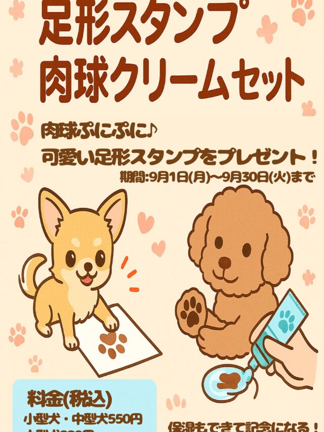 ９月のキャンペーンのお知らせ

✨足形スタンプ&肉球クリーム体験✨
大切なご家族のワンちゃんとの思い出づくりにぴったりな「足形スタンプ」と「肉球クリーム」の体験をご用意しております✨

小型犬・中型犬550円(税込)
大型犬　　　　880円(税込)

※全て税込の価格表示になっております。

可愛い足形を、思い出としてカタチに残しませんか？
この機会に是非お試しください♪

#トリミングサロン #犬のいる暮らし #ペッツビレッジ大垣店