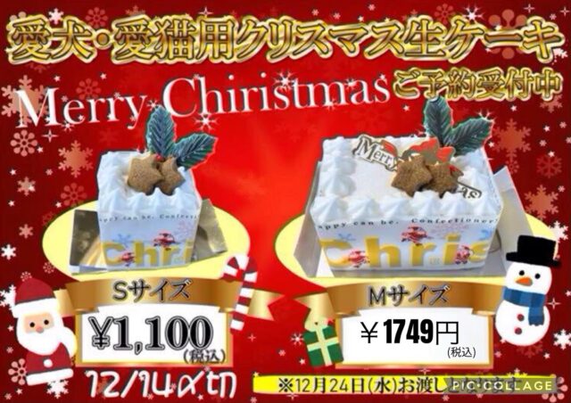 2025年クリスマスケーキの予約がスタートしました✨

Sサイズ
1100円(税込)

Mサイズ
1749円(税込)

わんちゃん、ねこちゃんもお召し上がり頂けます♡♡♡

ご予約方法 店頭のみ(先払い制)

お渡し日 12/24(日)

ご予約、お問い合わせはお気軽にどうぞ♪

皆さまのご予約をお待ちしております✨
　
ペッツビレッジ大垣店トリミングコーナー
TEL0584−84−9211

#アクアウォーク大垣#ペッツビレッジ大垣店#アピタ大垣#クリスマスケーキ
