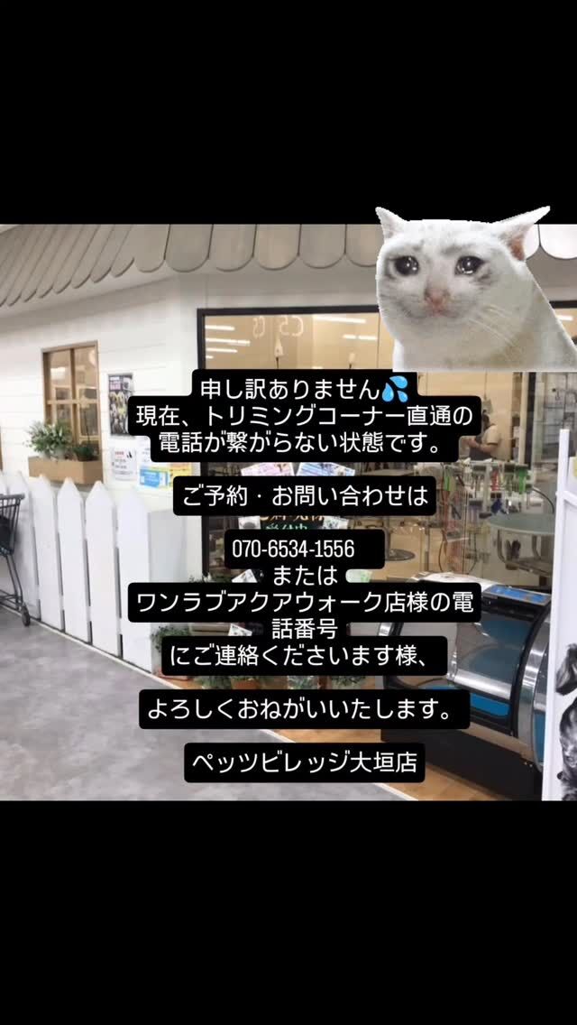 Instagram 投稿 18083974847004403