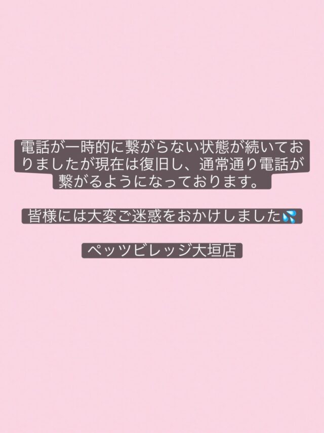 電話が一時的に繋がらない状態が続いておりましたが現在は復旧し、通常通り電話が繋がるようになっております。

皆様には大変ご迷惑をおかけしました💦

ペッツビレッジ大垣店