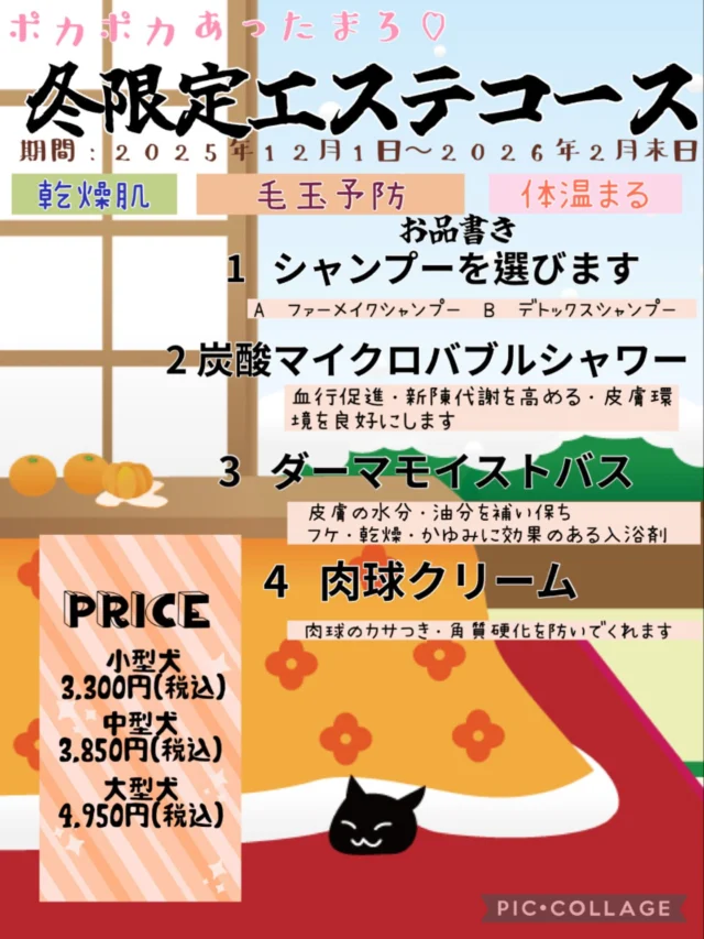 こんにちは😊
11月も残りわずかとなりました😖🍃皆様風邪をひかないように暖かくしてお過ごしくださいね☕️😷

☆

今回は12月1日から開始する『冬限定エステコース』のご紹介です♪
・
お肌の乾燥や被毛のパサつきがきになる子、体が冷えやすく寒がりな子におすすめのコースになっております‼️是非ご利用くださいませ😊

☆

詳しい内容は投稿画像をご覧ください👀

☆

クリスマスケーキの予約販売も12月14日(日)まで受付中です！🎂
沢山のご予約お待ちしております♪

 #ペットサロン  #トリミングサロン  #ペッツビレッジ大垣店  #大垣市  #アクアウォーク大垣