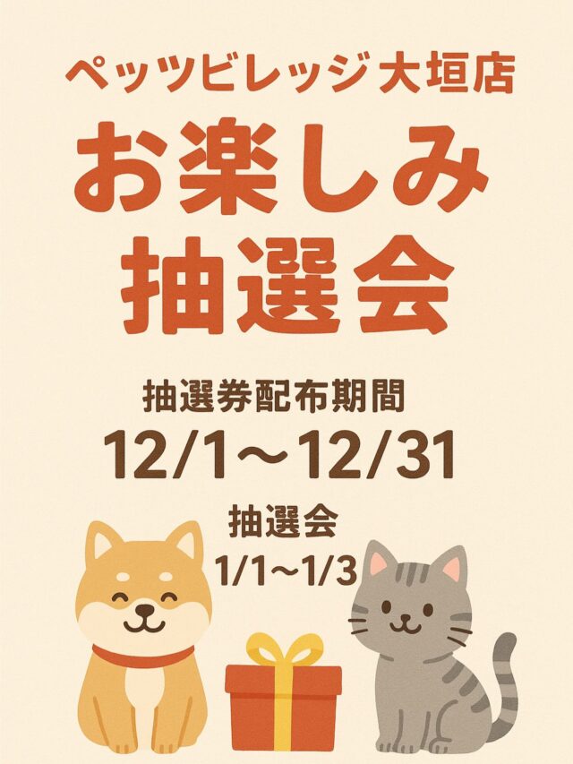 🎁【年末年始 抽選会イベントのお知らせ】🎁

今年もお楽しみ抽選会を開催いたします🎉
12/1〜12/31の期間中、ご利用内容に応じて“抽選券”をお渡しします❗️
抽選、景品お引き換えは1/1〜1/31の間に引き換えとなっています❗️

—— 抽選券配布条件 ——

① 前回ご来店から45日以内のお客様
シャンプーコース または シャンプーカットコースご利用で【抽選券1枚】

② ①のお客様
・オプションメニュー＋当店取扱の物販商品のご利用合計【2,000円ごとに1枚】

③ 部分美容でご来店のお客様
・一部の部分美容オプション（デンタル／レイキング／肉球クリーム）＋当店取扱の物販商品の合計【2,000円ごとに1枚】

—— 期間 ——
📌 抽選券配布：12/1〜12/31
📌 抽選会・景品引き換え：1/1〜1/31

🎁景品一例
・商品券
・ベッド
・ドッグフード
・おもちゃ
・おやつ
・割引券
等

ご来店のたびにチャンスが広がります。ぜひこの機会にご利用ください‼️

⭐︎年末はトリミングのご予約が大変混み合いますので、お早めにご予約をお取りください！

⭐︎年内は休まず営業いたします。

⭐︎新規のお客様のご予約も受付中です。
※1年以内に接種した狂犬病予防、混合ワクチンの接種証明書が必要です。

⭐︎2026年1月1日は営業をお休みさせていただきます。
⭐︎年始は1月2日より営業いたします。

#トリミングサロン#アピタ大垣#ペッツビレッジ大垣店トリミング室 #アクアウォーク大垣 #大垣市