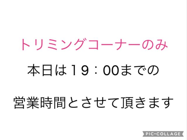 こんにちは☀️
ペッツビレッジ大垣店です。

いつも当店をご利用くださいまして
誠にありがとうございます😌

本日、従業員不在の為
１９時までの営業時間とさせて頂きます。

ご迷惑をおかけいたしますが
何卒ご了承くださいますようお願い申し上げます。

明日より通常通りに営業をさせて頂きます。

ペッツビレッジ大垣店
トリミングコーナーより

#ペッツビレッジ大垣店 
#ペッツビレッジ #アピタ大垣店 #アクアウォーク大垣