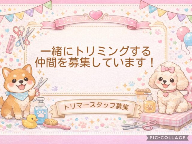 ⭐︎トリマーさんをー募集しています。⭐︎

現在、アピタ大垣店（アクアウォーク）の店内にある、ペットショップ【ペッツビレッジ大垣店】にて、一緒に働けるトリマーさんを募集しています。

ワンちゃん・ネコちゃんのお手入れを通して、飼い主さまの笑顔も間近で見られる、やりがいのあるお仕事です！

詳細、お申し込みは求人サイトにてご確認・お問い合わせください。

#トリマー募集 
#アピタ大垣店
#急募