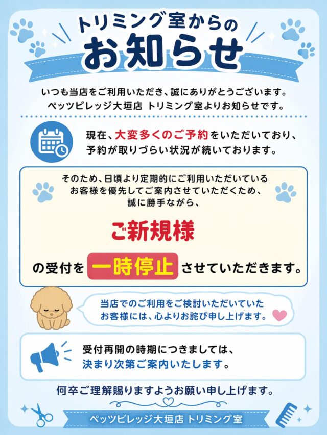 いつも当店をご利用いただき誠にありがとうございます。
ペッツビレッジ大垣店トリミング室からのお知らせです。

現在、予約が大変混雑しております。

いつもご利用いただいているお客様のご予約が
取り辛い状況が続いており
既存のお客様を優先させていただく為、
しばらくの間、
ご新規様の受付を一時的に
停止させていただいております。
当店でのトリミングを検討していただいていた
ご新規さまには大変申し訳なく思っております。

受付再会の日程は決定次第、
店頭・またはこちらのインスタグラムにて
お知らせいたします。
ご理解の程よろしくお願いします。

#ペッツビレッジ大垣店トリミング室