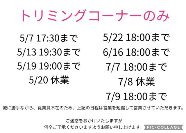 こんにちは☀️
ペッツビレッジ大垣店です。

いつも当店をご利用くださいまして
誠にありがとうございます😌

誠に勝手ながら、従業員不在のため、上記の日程は営業を短縮して営業させていただきます。

ご迷惑をおかけいたしますが
何卒ご了承くださいますようお願い申し上げます。

ペッツビレッジ大垣店
トリミングコーナーより

#ペッツビレッジ大垣店 
#ペッツビレッジ #アピタ大垣店 #アクアウォーク大垣